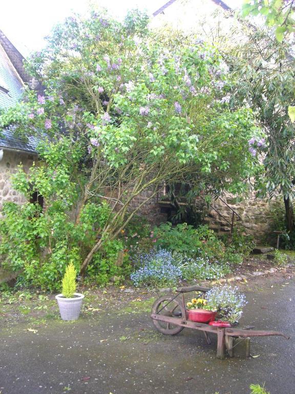 Gites De La Ferme Auberge De Mesauboin Billé Exterior foto